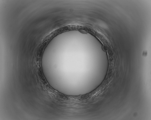 X0000096990870200802291206