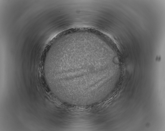 X0000096990871200802291206