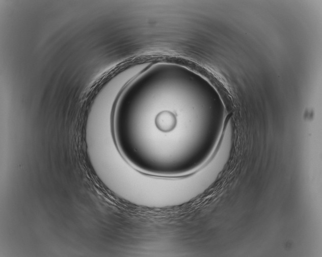 X0000096990872200802291206