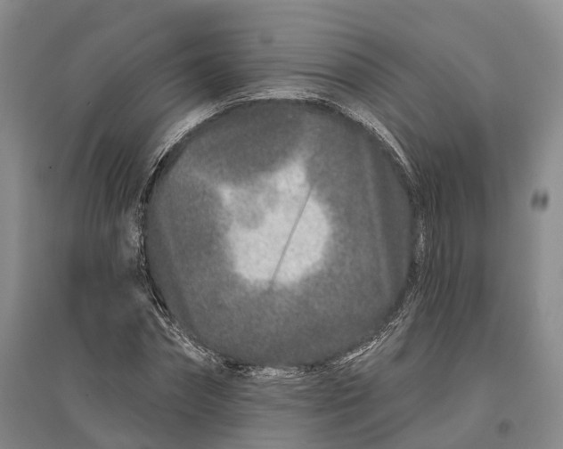 X0000096990874200802291206