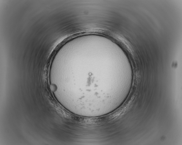 X0000096990875200802291206