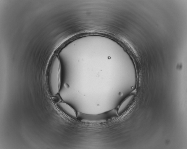 X0000096990876200802291206