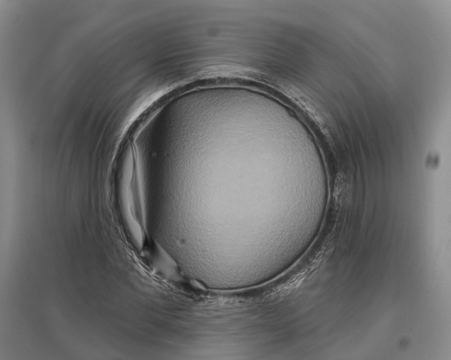 X0000096990877200802291206