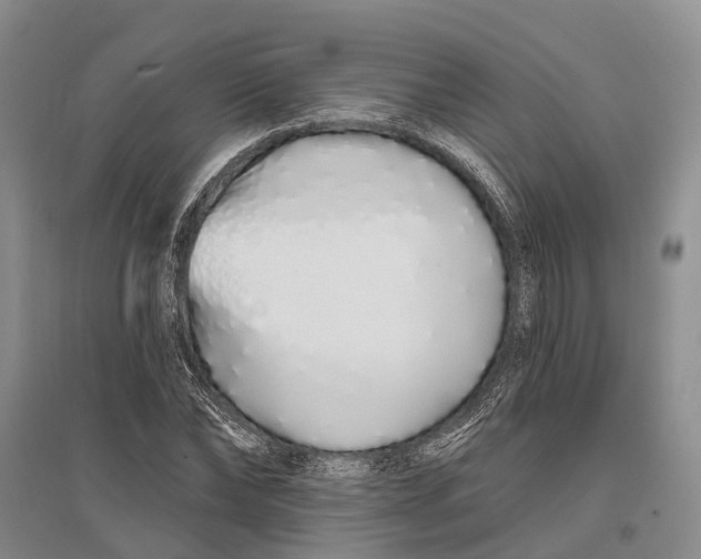 X0000096990878200802291206