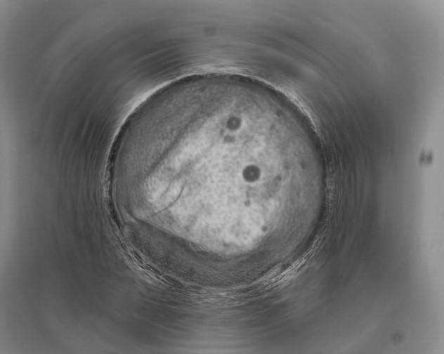 X0000096990879200802291206