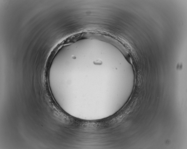 X0000096990880200802291206