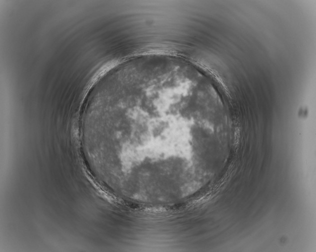 X0000096990882200802291206