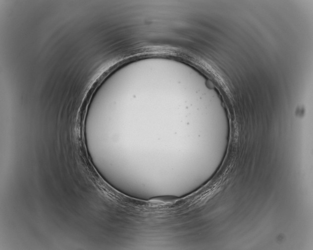 X0000096990883200802291206