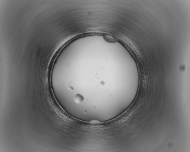 X0000096990884200802291206