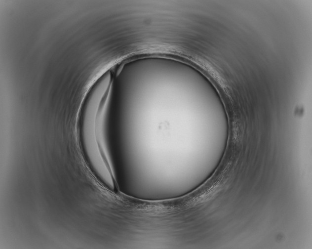 X0000096990885200802291206