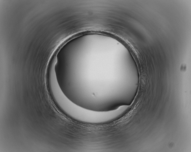 X0000096990887200802291206