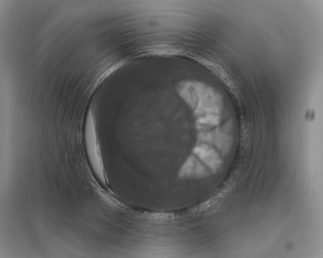 X0000096990889200802291206