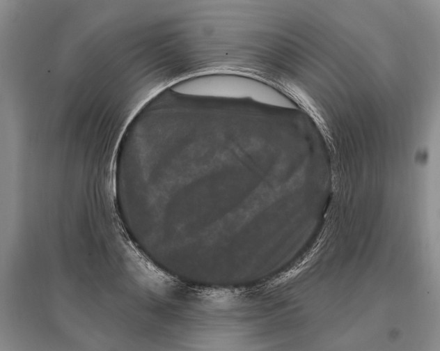 X0000096990892200802291206