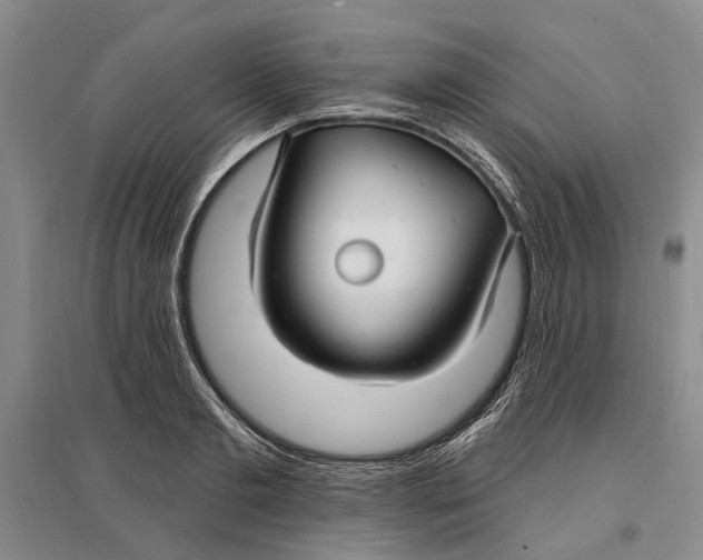 X0000096990893200802291206