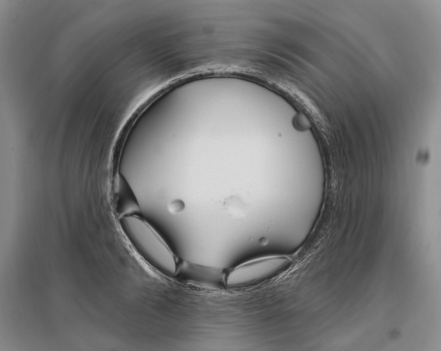 X0000096990894200802291206