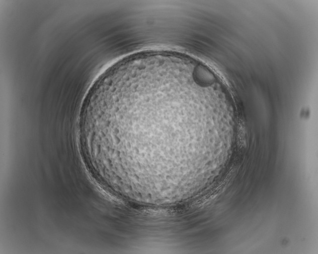 X0000096990895200802291206