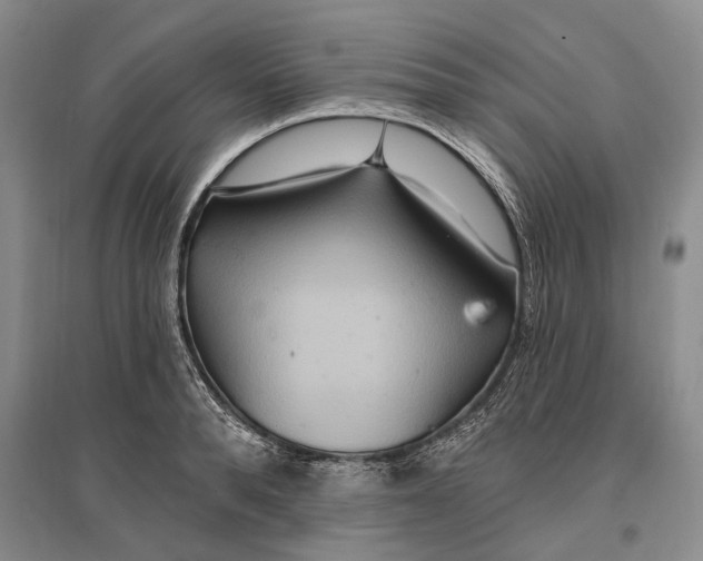 X0000096990896200802291206