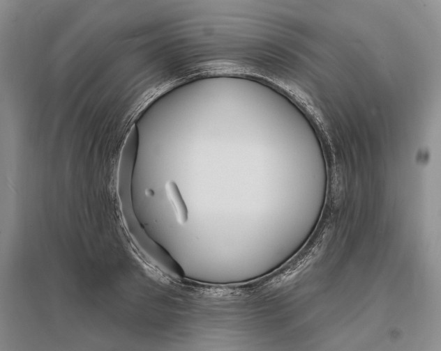 X0000096990897200802291206