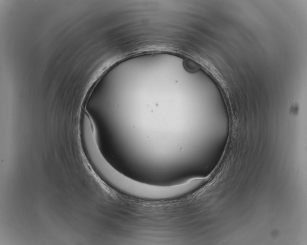 X0000096990898200802291206