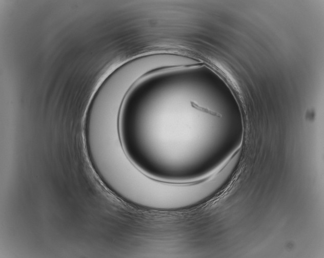 X0000096990899200802291206