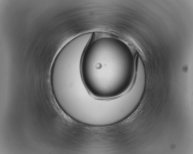 X0000096990900200802291206