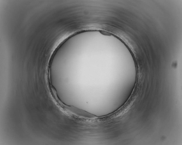 X0000096990901200802291206