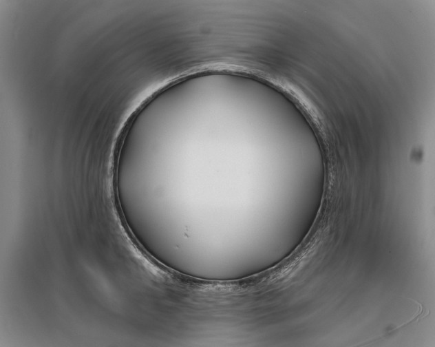 X0000096990902200802291206