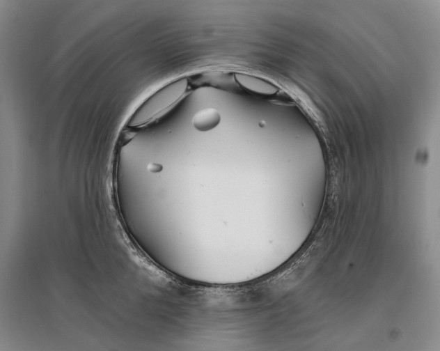 X0000096990904200802291206