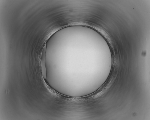 X0000096990905200802291206