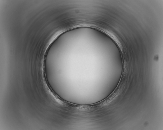 X0000096990906200802291206