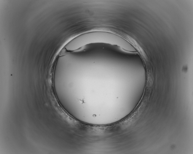 X0000096990908200802291206