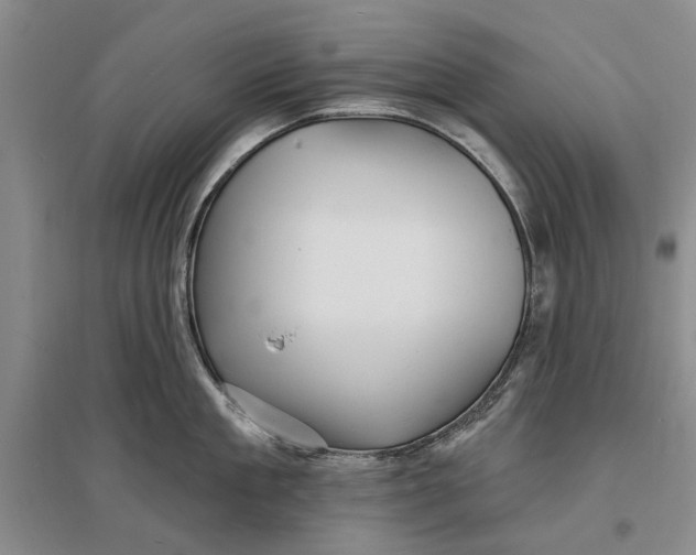 X0000096990909200802291206