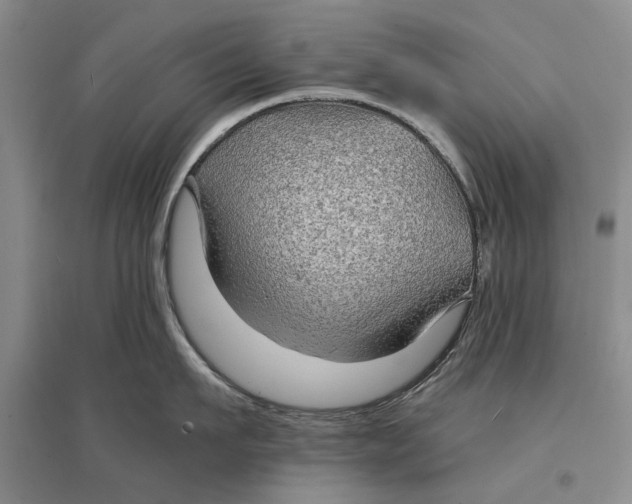 X0000096990911200802291206