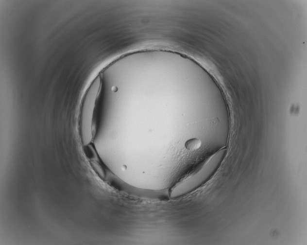 X0000096990912200802291206