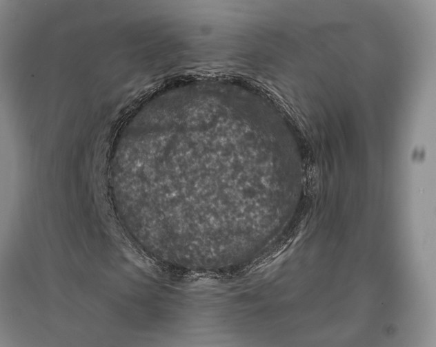 X0000096990913200802291205