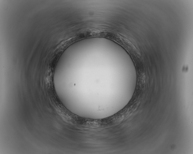 X0000096990914200802291205