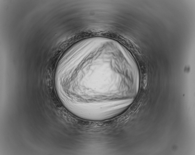 X0000096990917200802291205