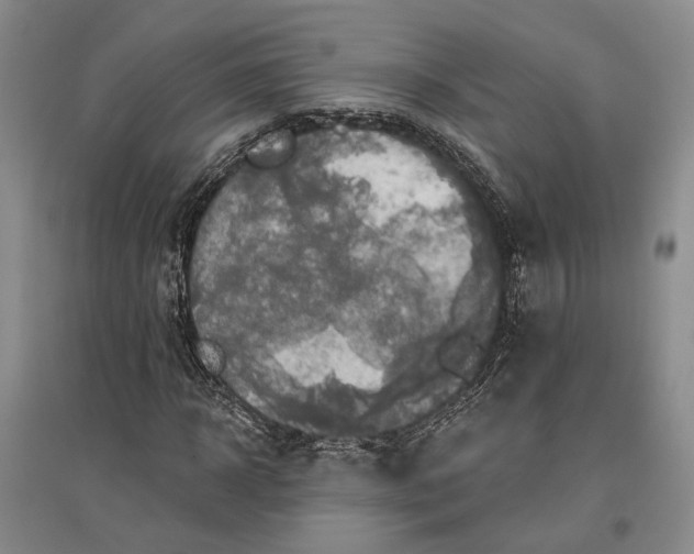 X0000096990918200802291205