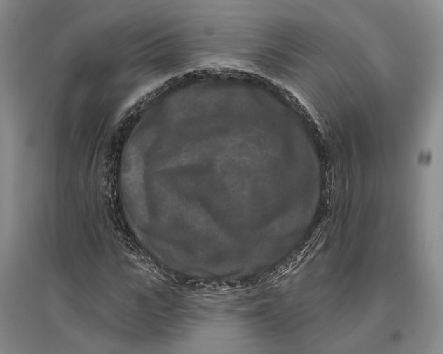 X0000096990919200802291205