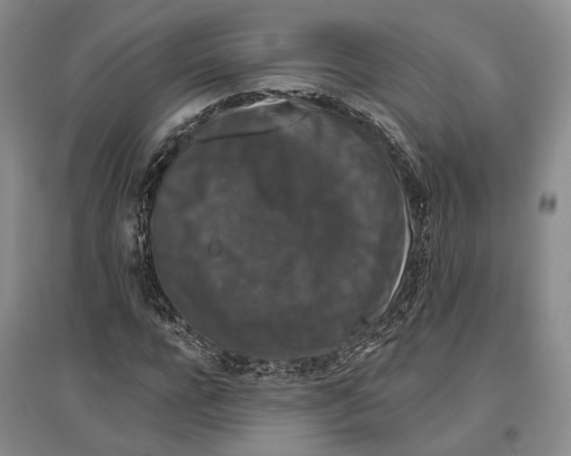 X0000096990920200802291205