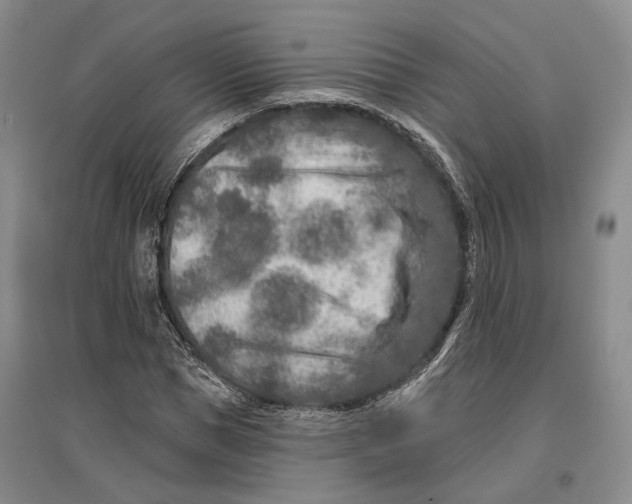 X0000096990921200802291205