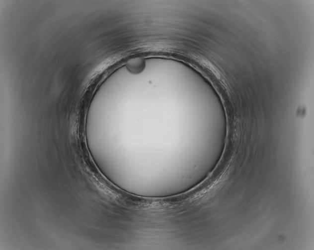 X0000096990922200802291205