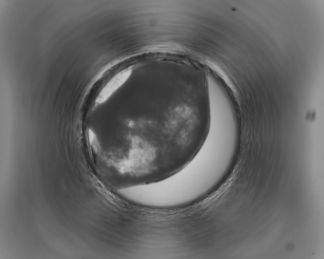 X0000096990923200802291205