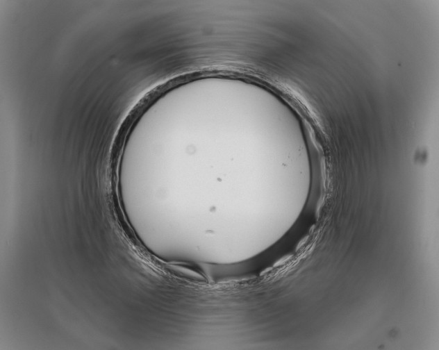 X0000096990924200802291205