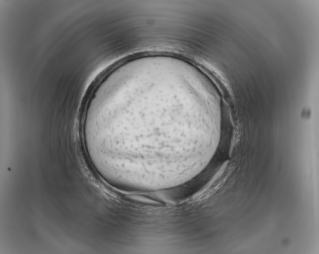 X0000096990928200802291205