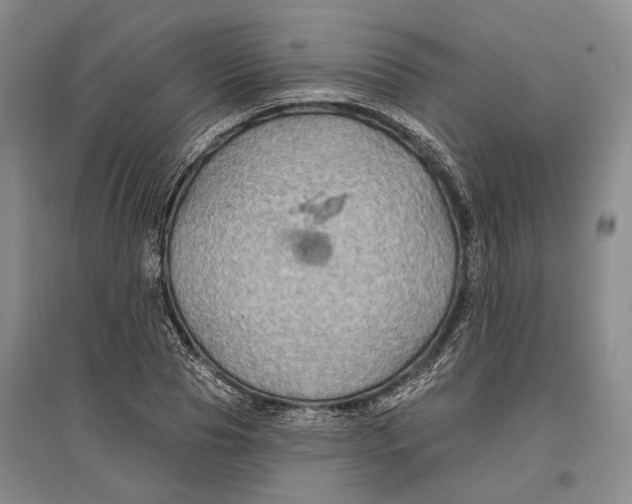 X0000096990929200802291205