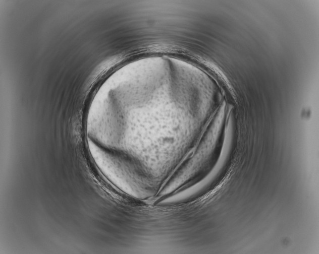 X0000096990930200802291205