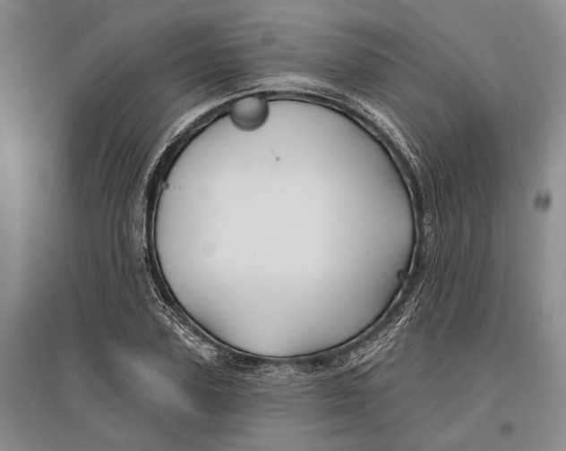 X0000096990931200802291205