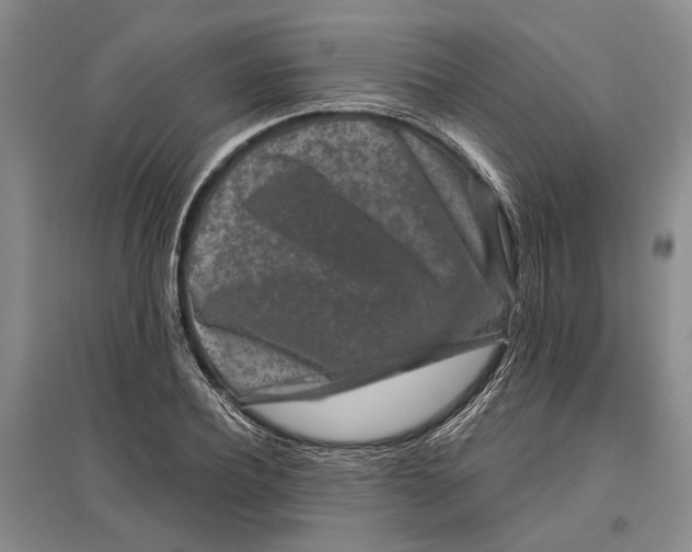 X0000096990932200802291205