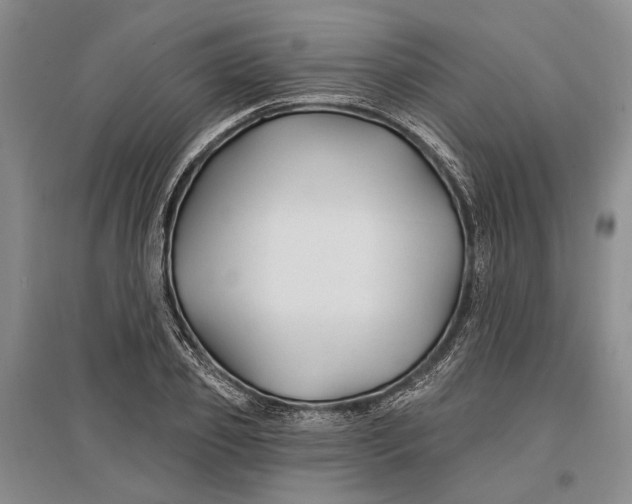 X0000096990933200802291205